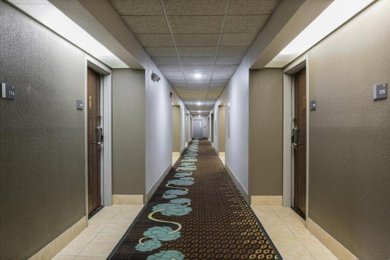 Bliss Point Inn & Suites New Buffalo Luaran gambar